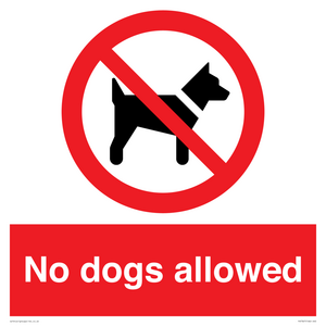 No dogs allowed
